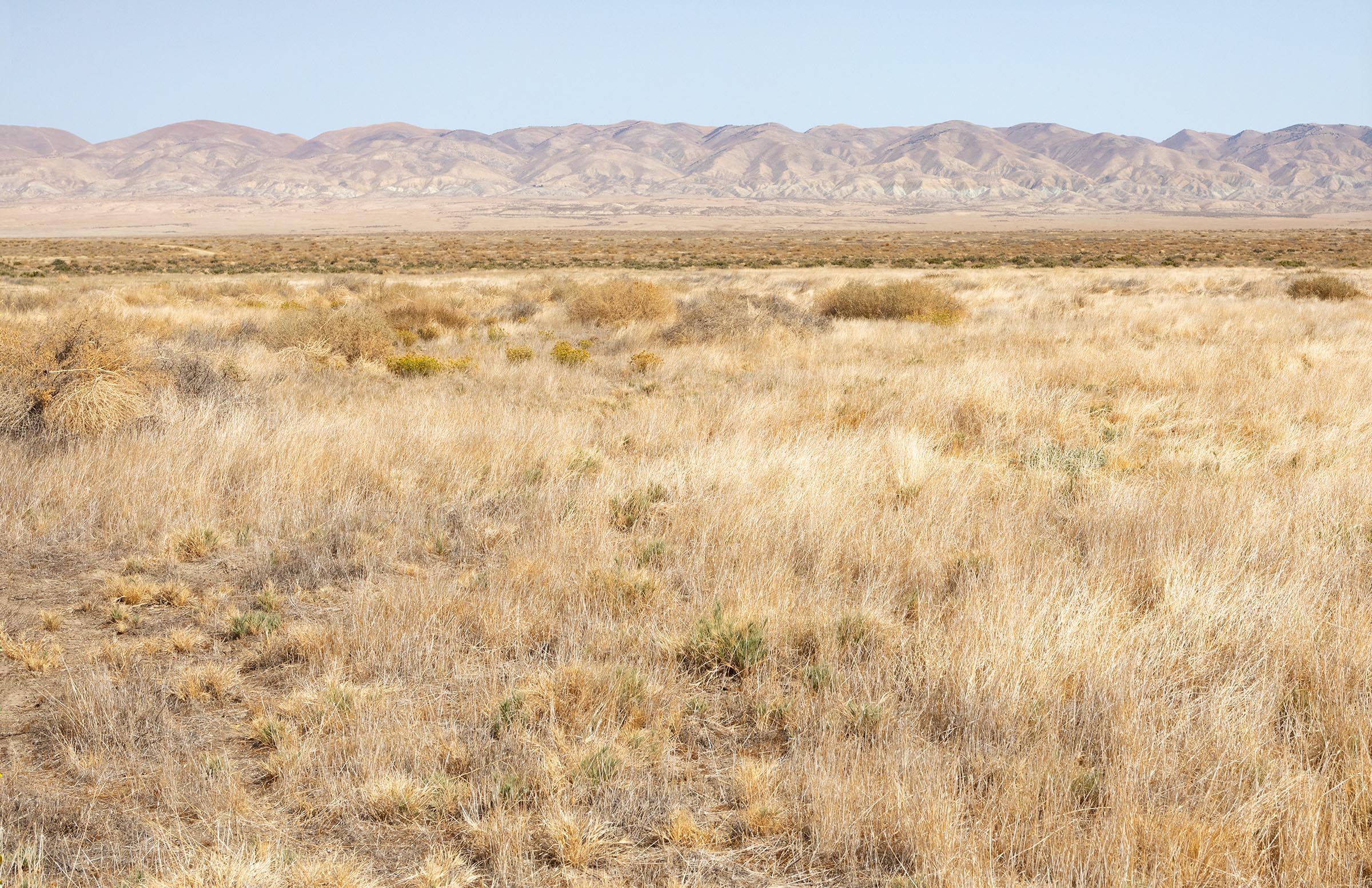 Dry dormant landscape at Carrizo Plain National Monument.