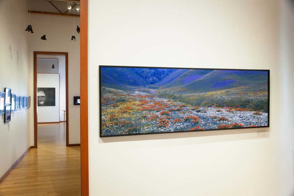 Framed artwork of Richard Dickey photography.