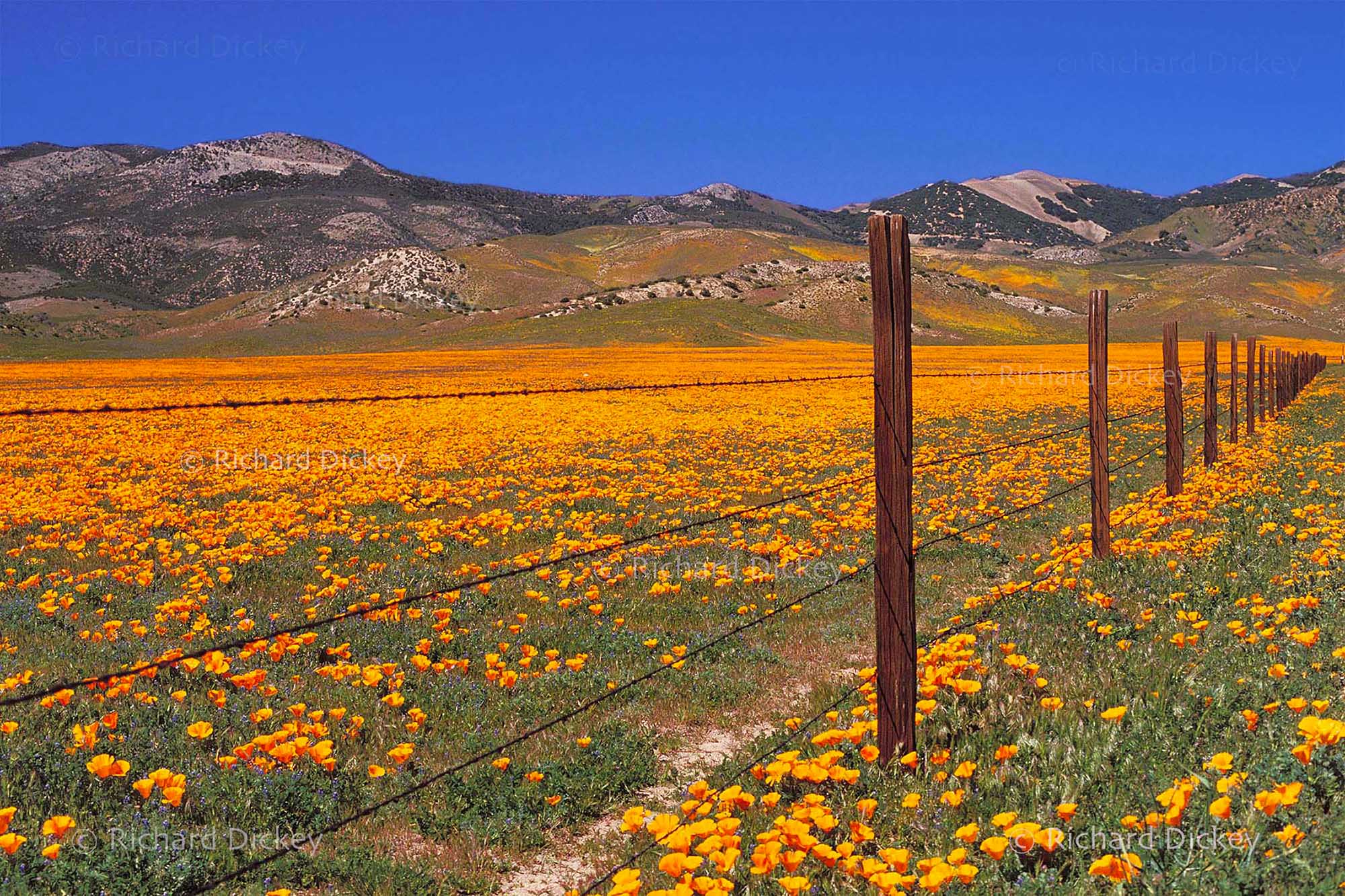 photograph of dry desert