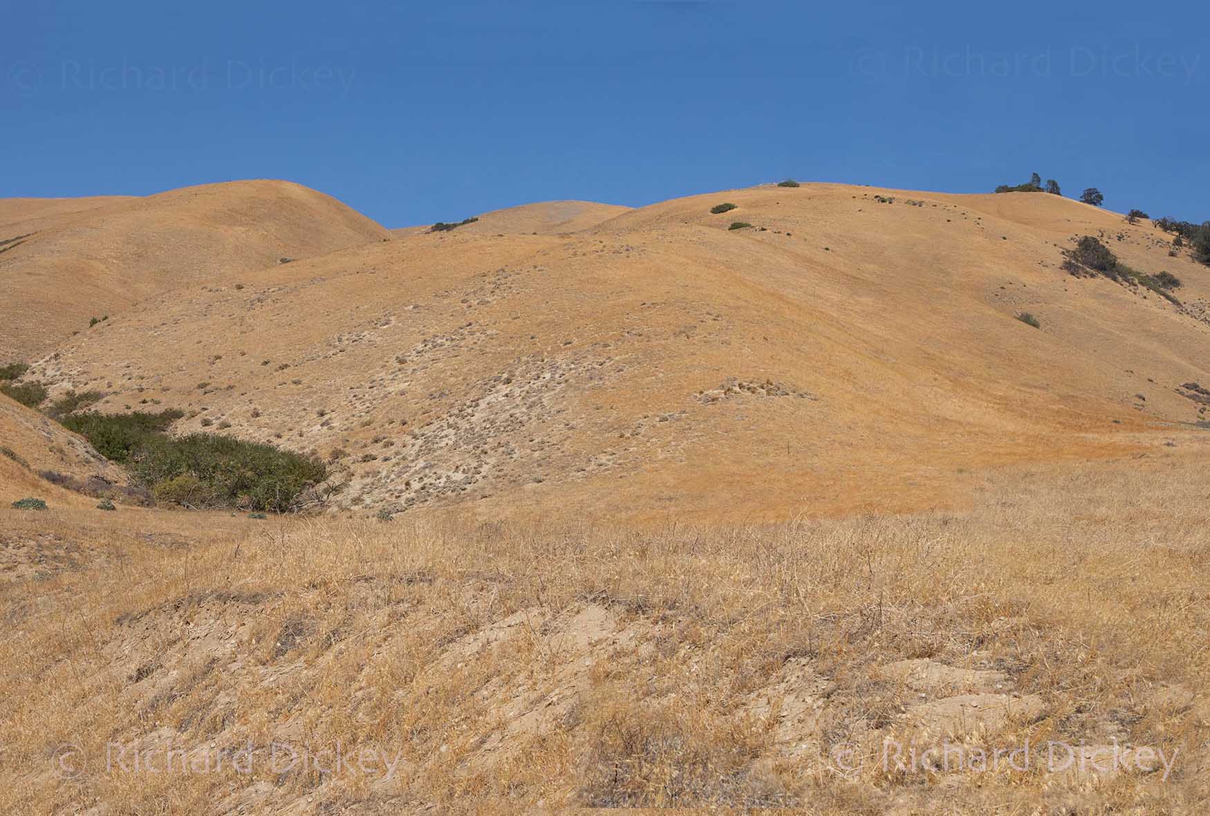 landscape photograph of dry, dormant hills of Gorman ca