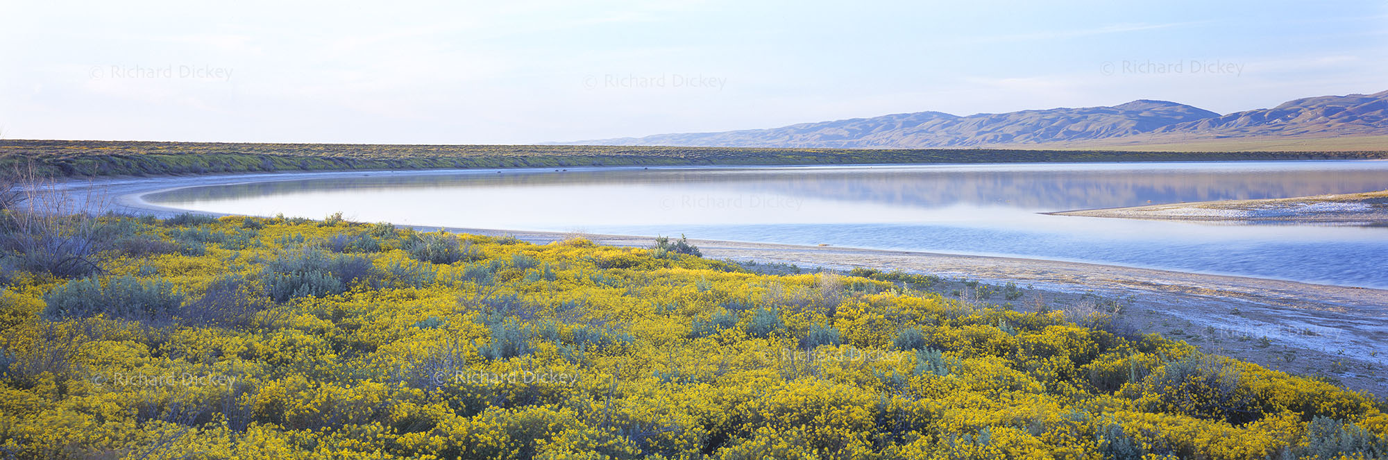 Fuji GX617 panorama of Soda Lake holding seasonal water with yellow wildflowers along the shore and the Temblor Range reflected softly across the lake.