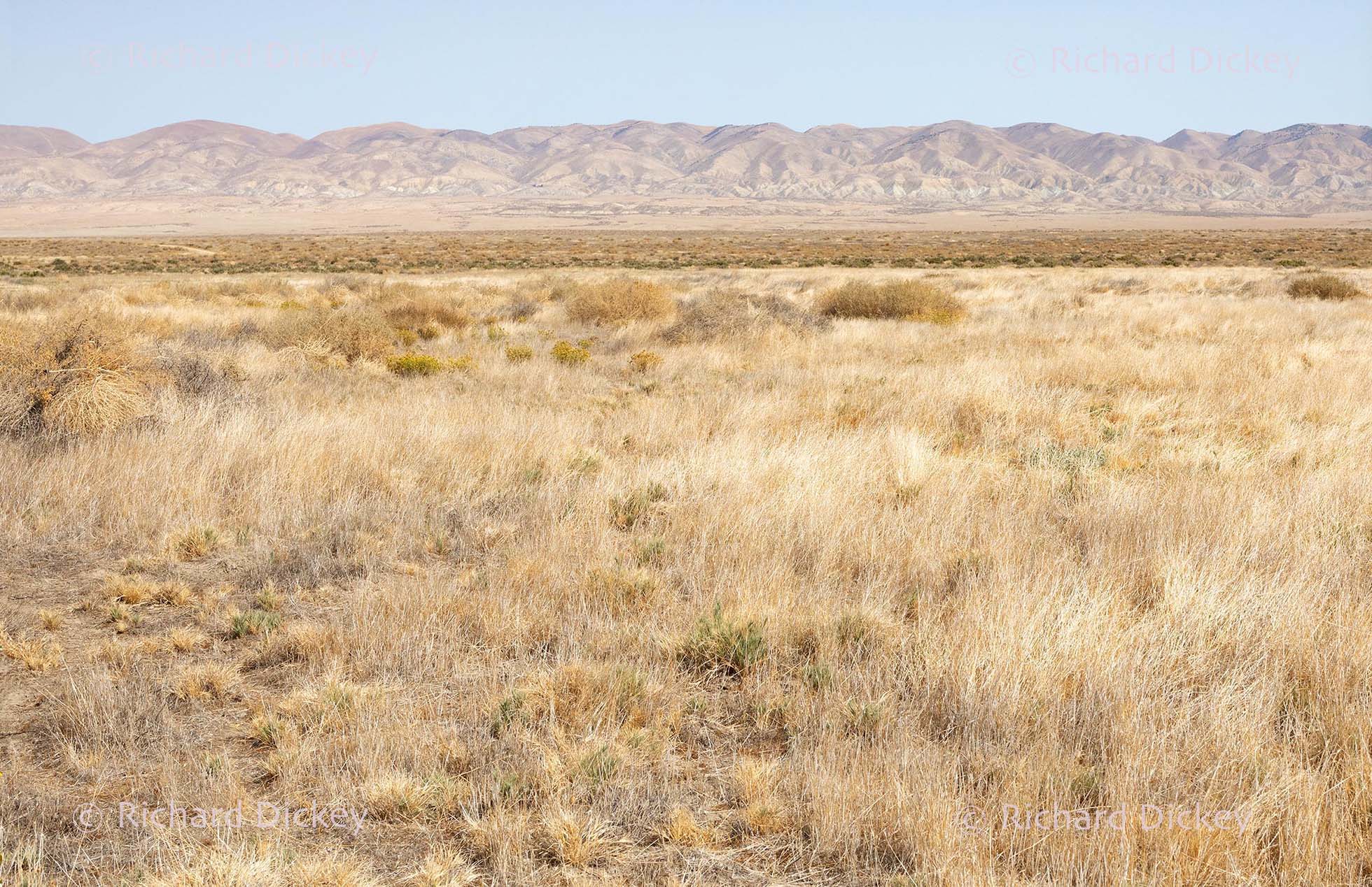 Dry dormant landscape at Carrizo Plain National Monument.